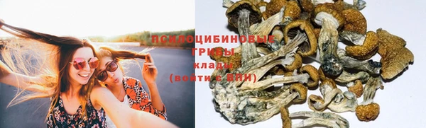 СК Кукмор