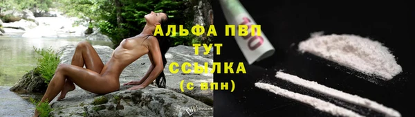 МДПВ Куйбышев