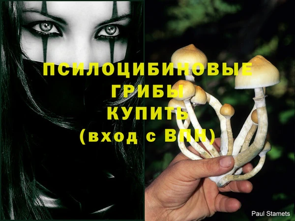 МДПВ Куйбышев