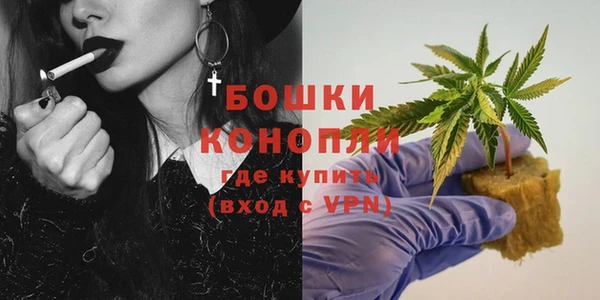 СК Кукмор