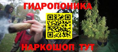 эйфоретик Апшеронск