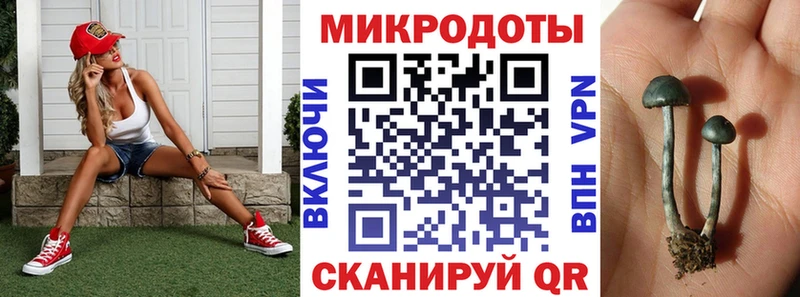 Псилоцибиновые грибы GOLDEN TEACHER Ногинск