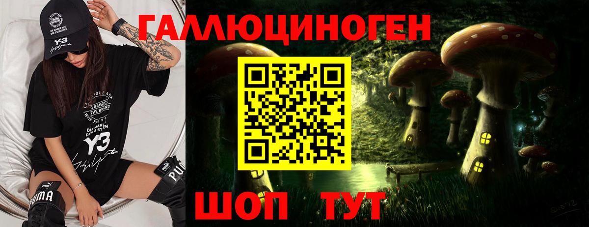 Псилоцибиновые грибы мицелий  Псилоцибиновые грибы Psilocybe  Ногинск  где найти наркотики  Вход с VPN 