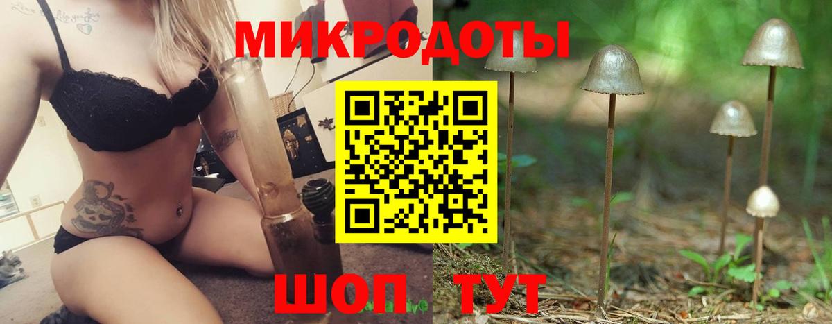 Галлюциногенные грибы Cubensis Ногинск